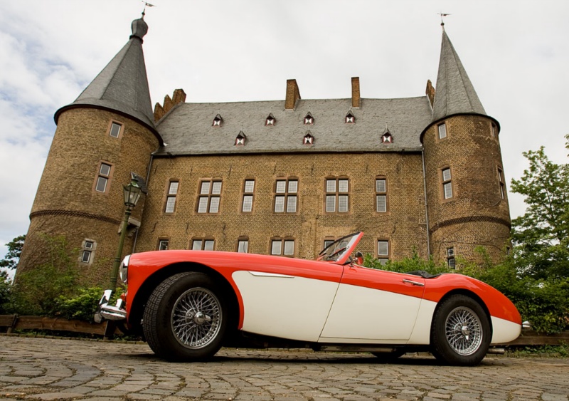 Austin Healey6305